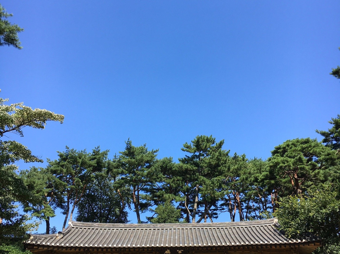 Gochangeupseong Fortress-高敞郡必去景点