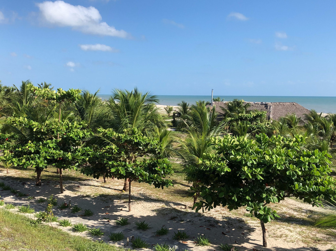 Rancho do Peixe主图