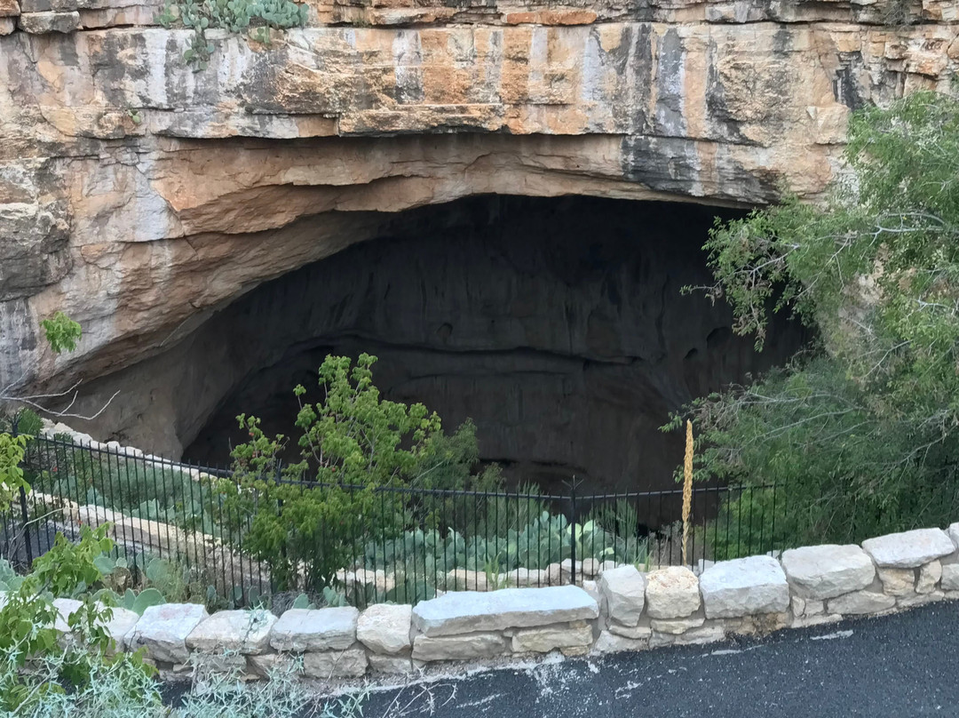 2024年5月Bat Flight Program in Carlsbad Caverns National Park景点攻略Bat