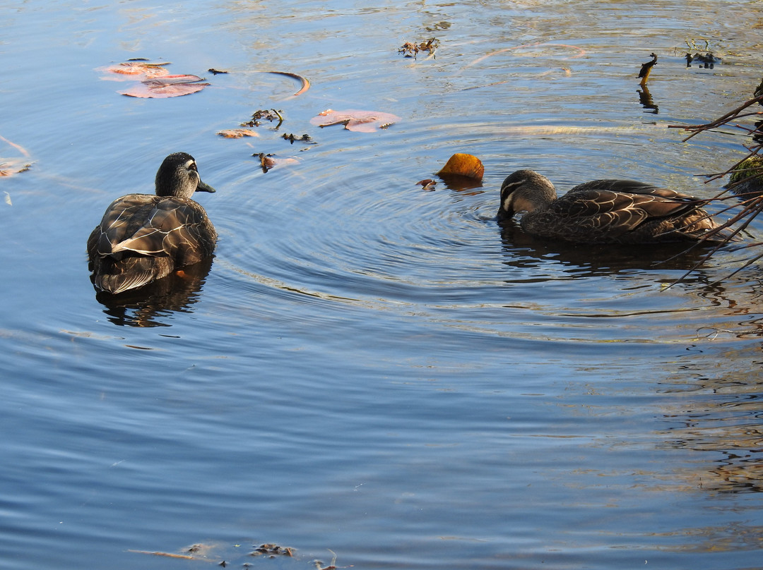 Gardens of Tieve Tara-马其顿山必去景点
