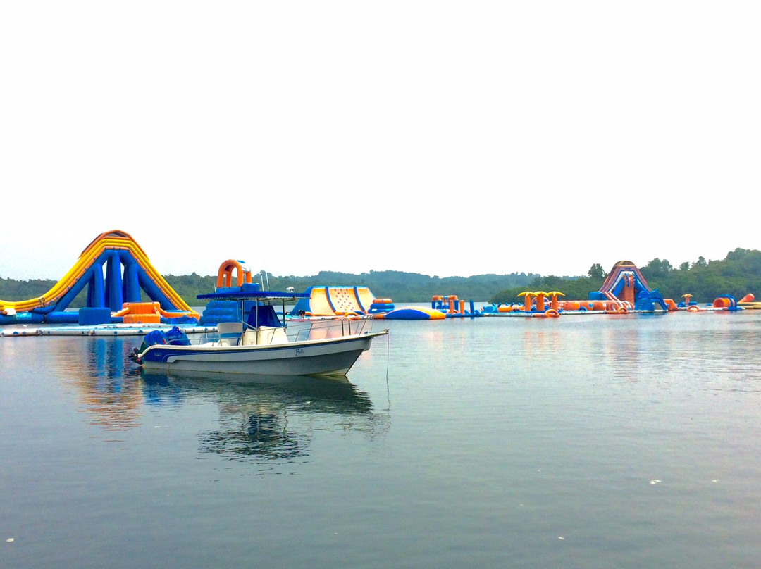 Kamia bay - Day Tour景点图片