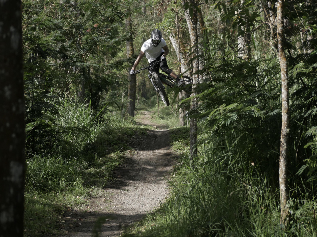 Besakih Mountain Bike Park景点图片