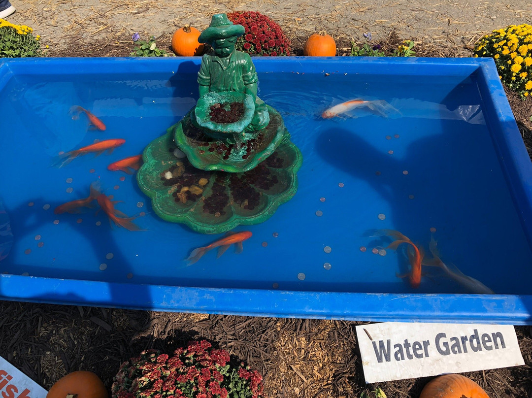 State Fair Of Virginia-多斯韦尔必去景点