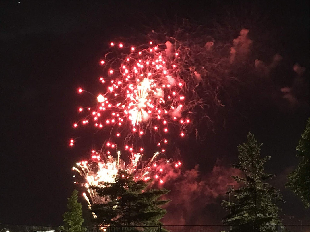 Donald M. Gordon Chinguacousy Park-布兰普敦必去景点