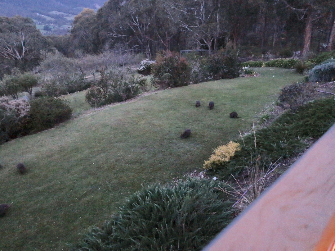 House on the Hill Country Bed and Breakfast主图