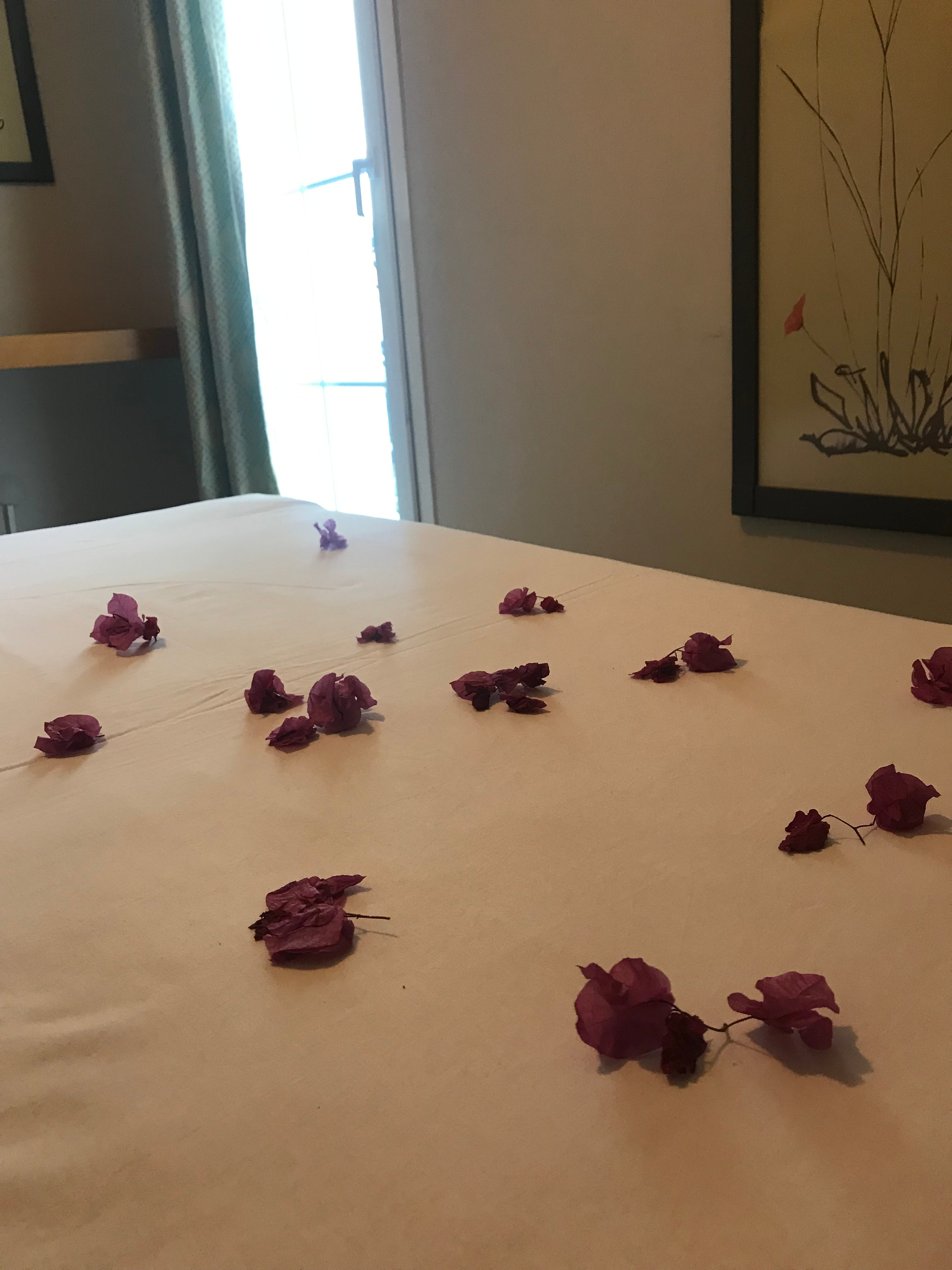 Hotel La Rosa-官方