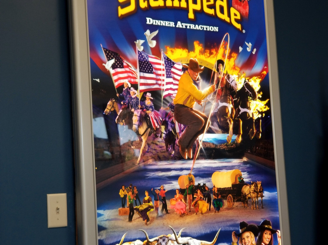 Dolly Parton's Stampede Dinner Attraction-布兰森必去景点