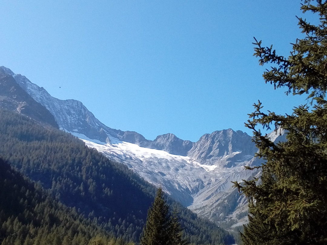 Chiareggio旅游攻略图片