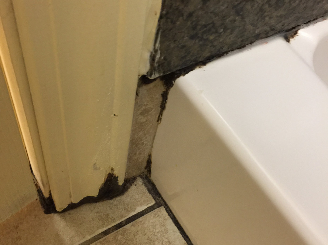 密尔沃基机场南驻桥套房酒店主图