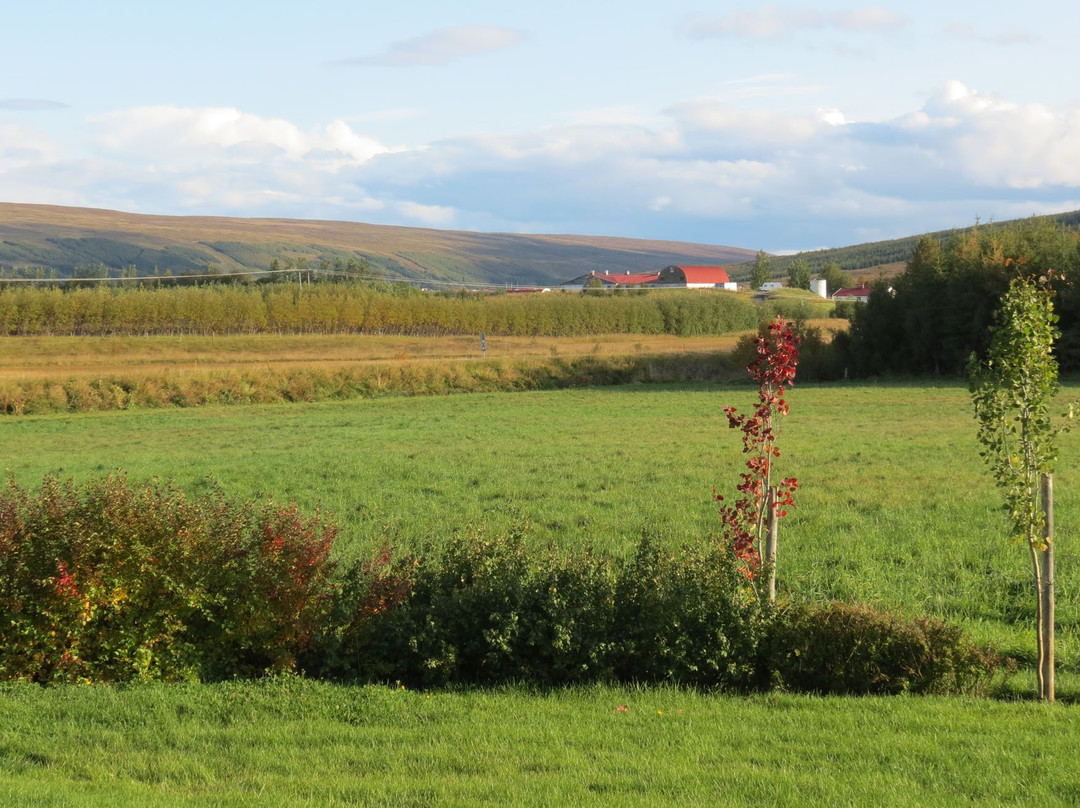 Vallakot Farm Guesthouse主图