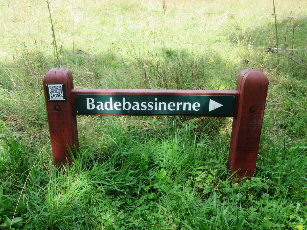 Badebassinerne景点图片
