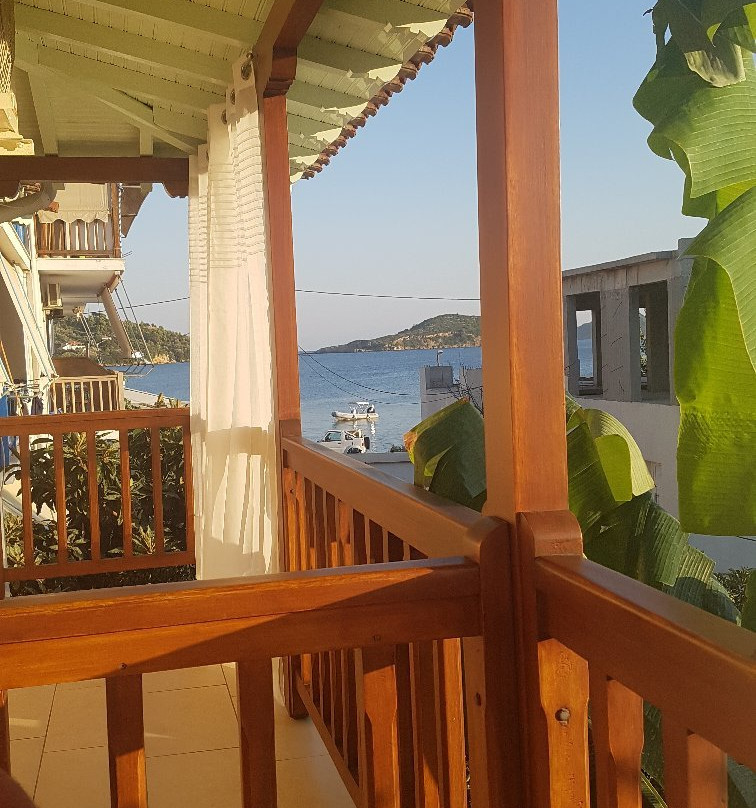 Pansion Matoula主图