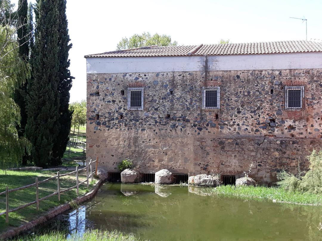 Molino de Pancaliente景点图片