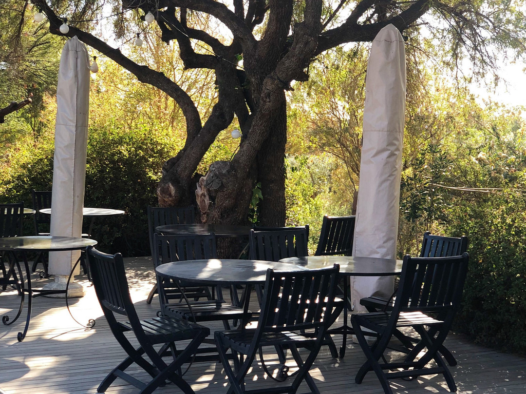 Dennehof Karoo Guesthouse主图