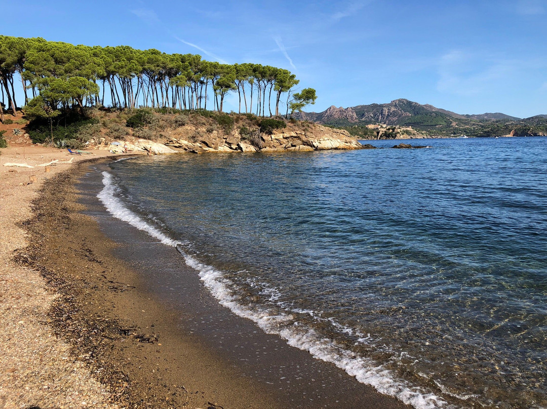 Spiaggia di Istia景点图片