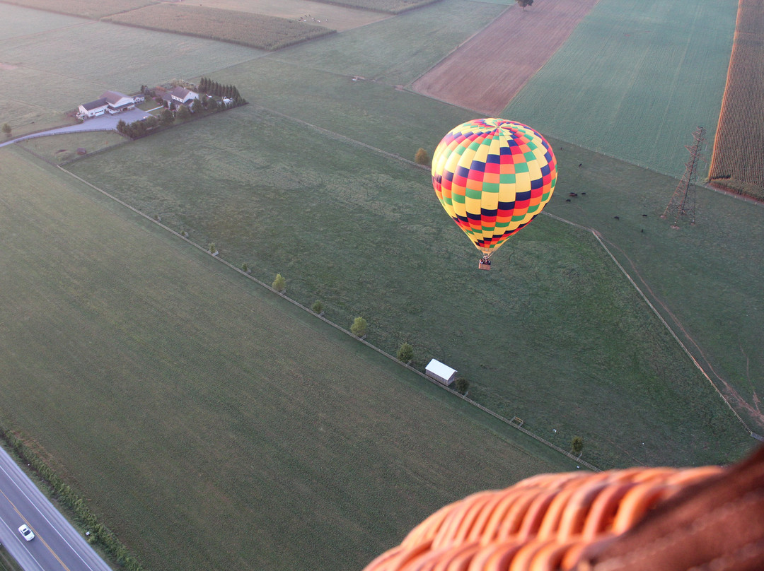 Lancaster Balloon Rides景点图片