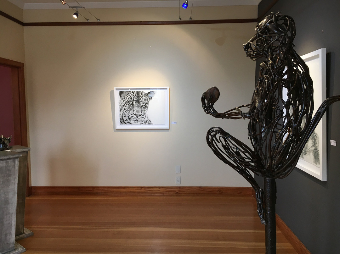 Fine Art Gallery-斯瓦科普蒙德必去景点