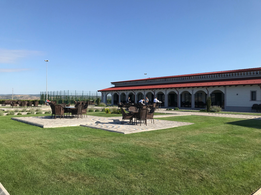 Domeniile Panciu Winery & Resort主图