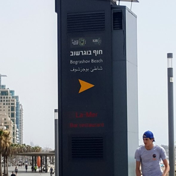 Bograshov Beach景点图片