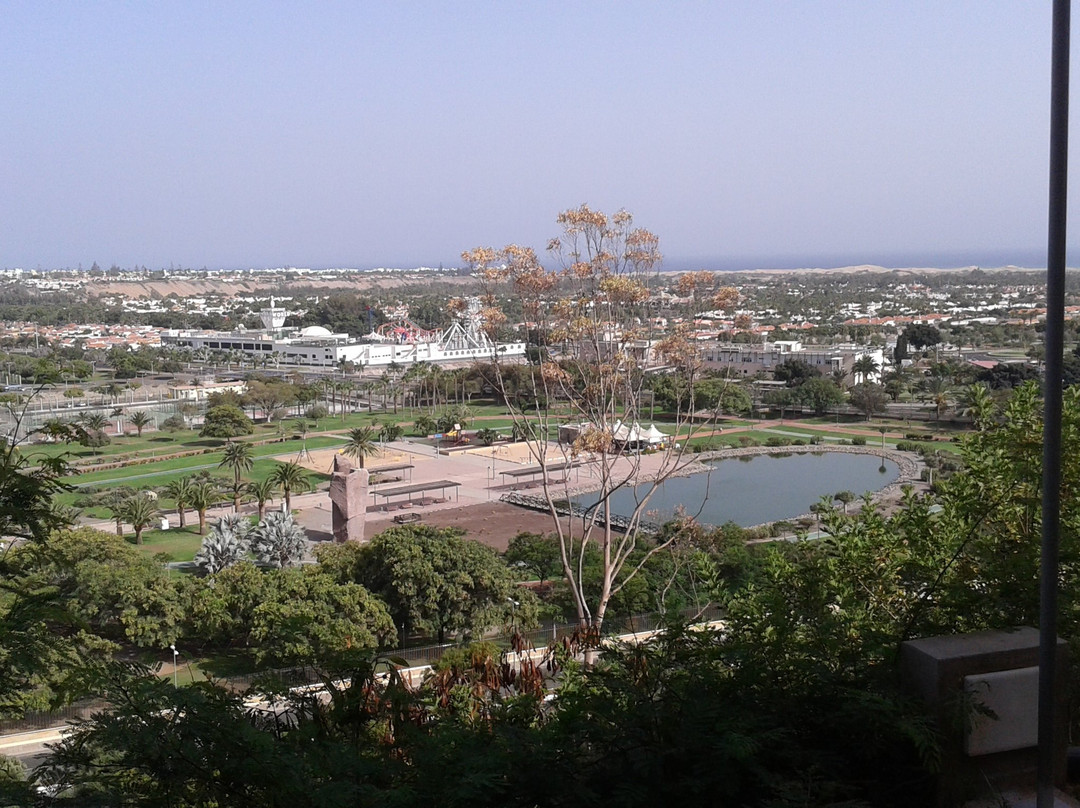 Palm Oasis Maspalomas主图