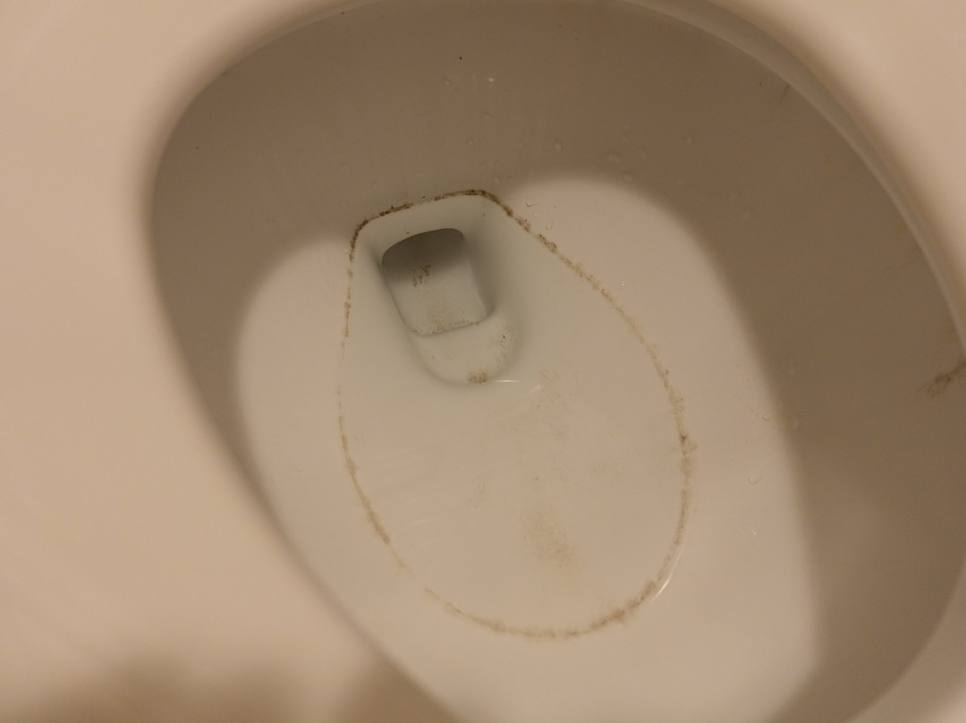 Flying Saddle Resort主图