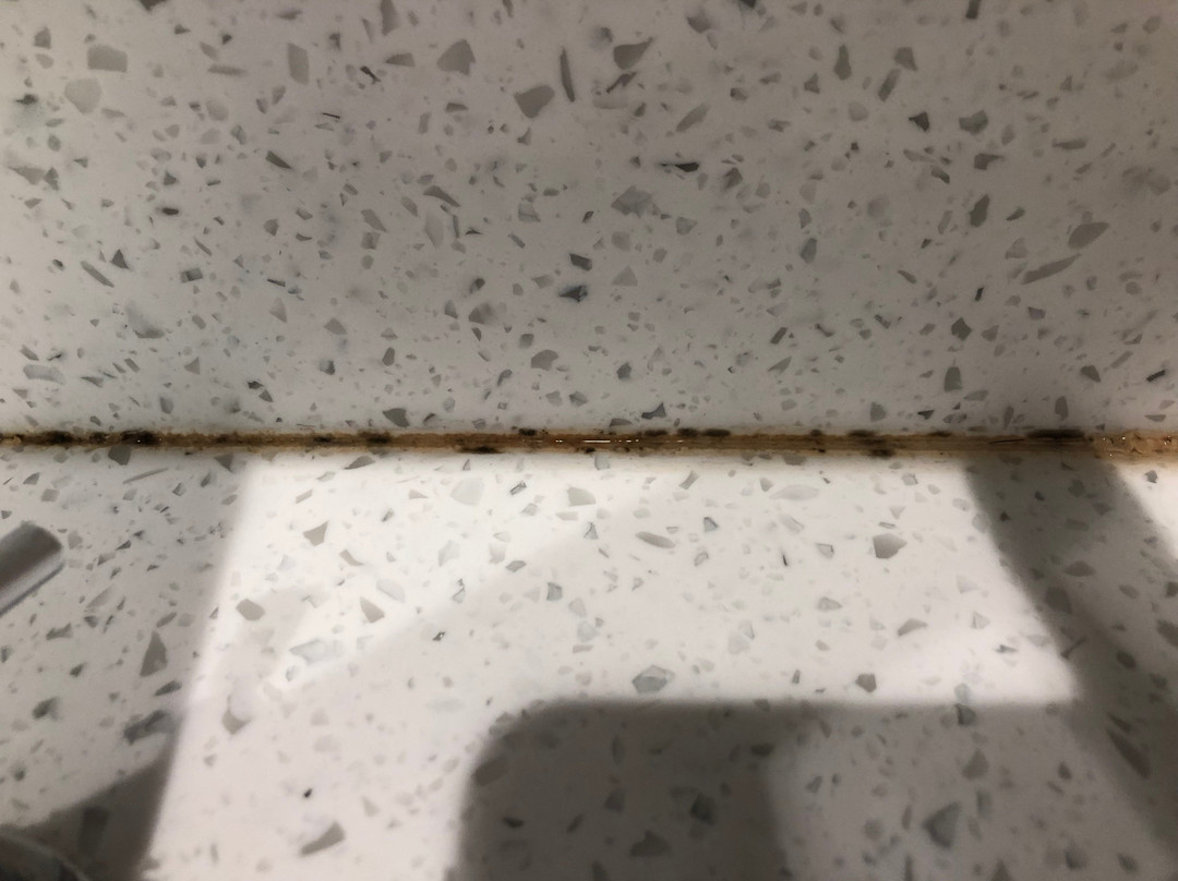 Tru by Hilton Portland Airport Area主图