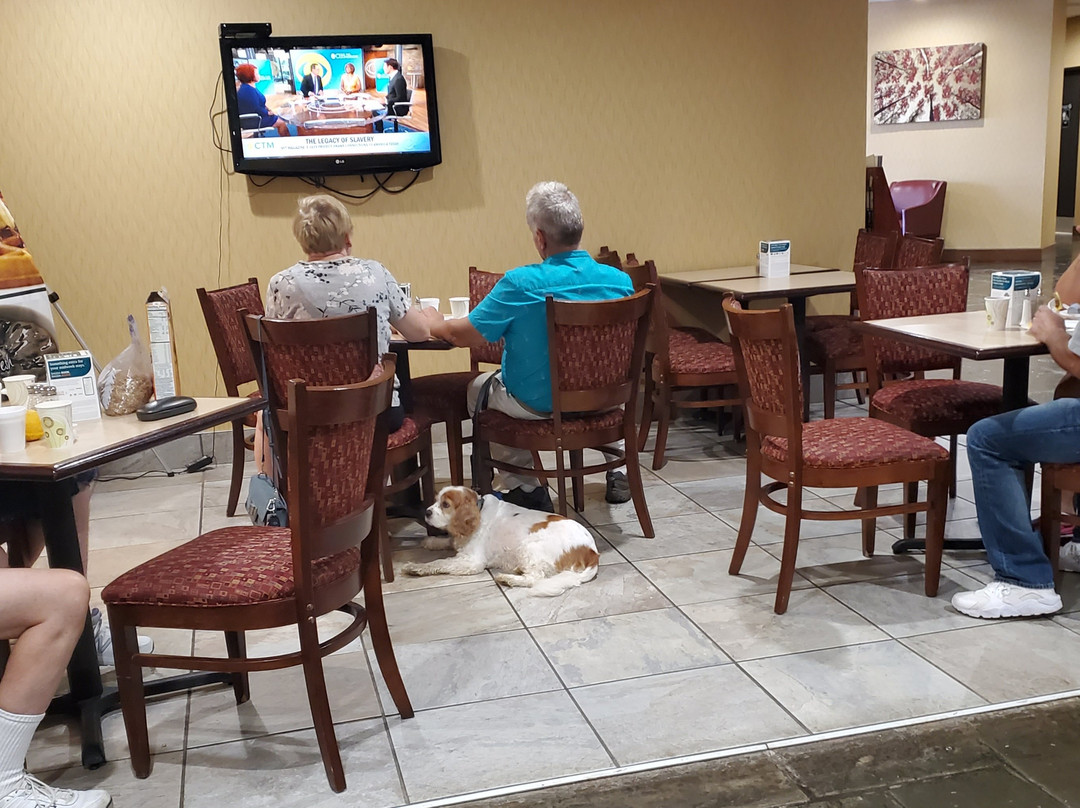 Quality Inn & Suites主图