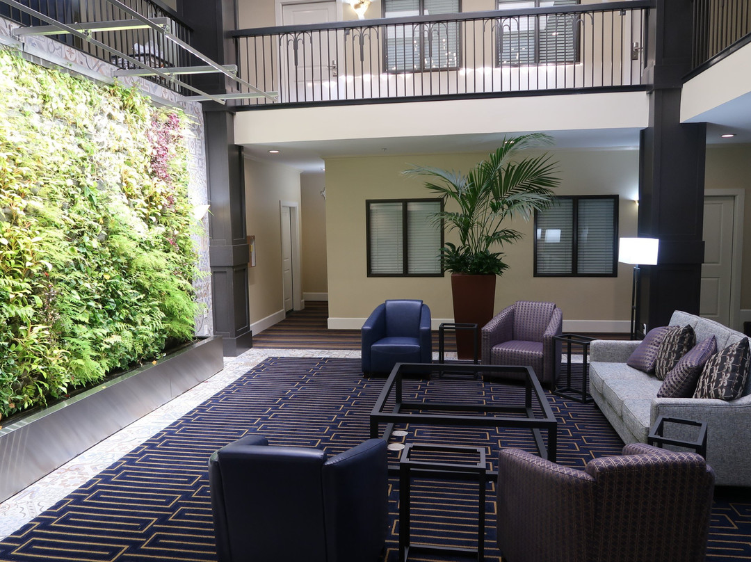 Best Western Plus Palm Court Hotel主图