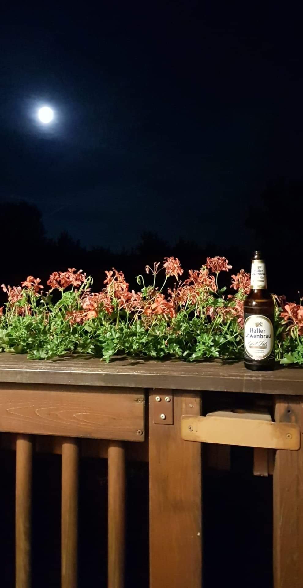 伊舍芬弗莱尔公园酒店-官方