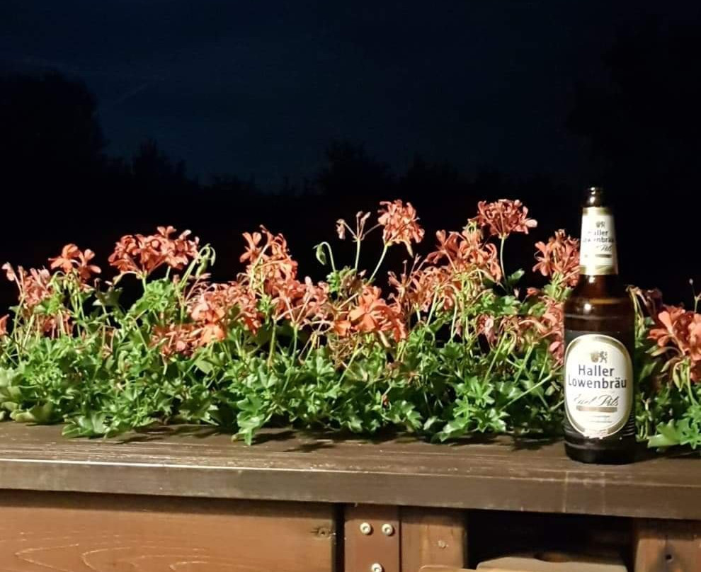 伊舍芬弗莱尔公园酒店主图