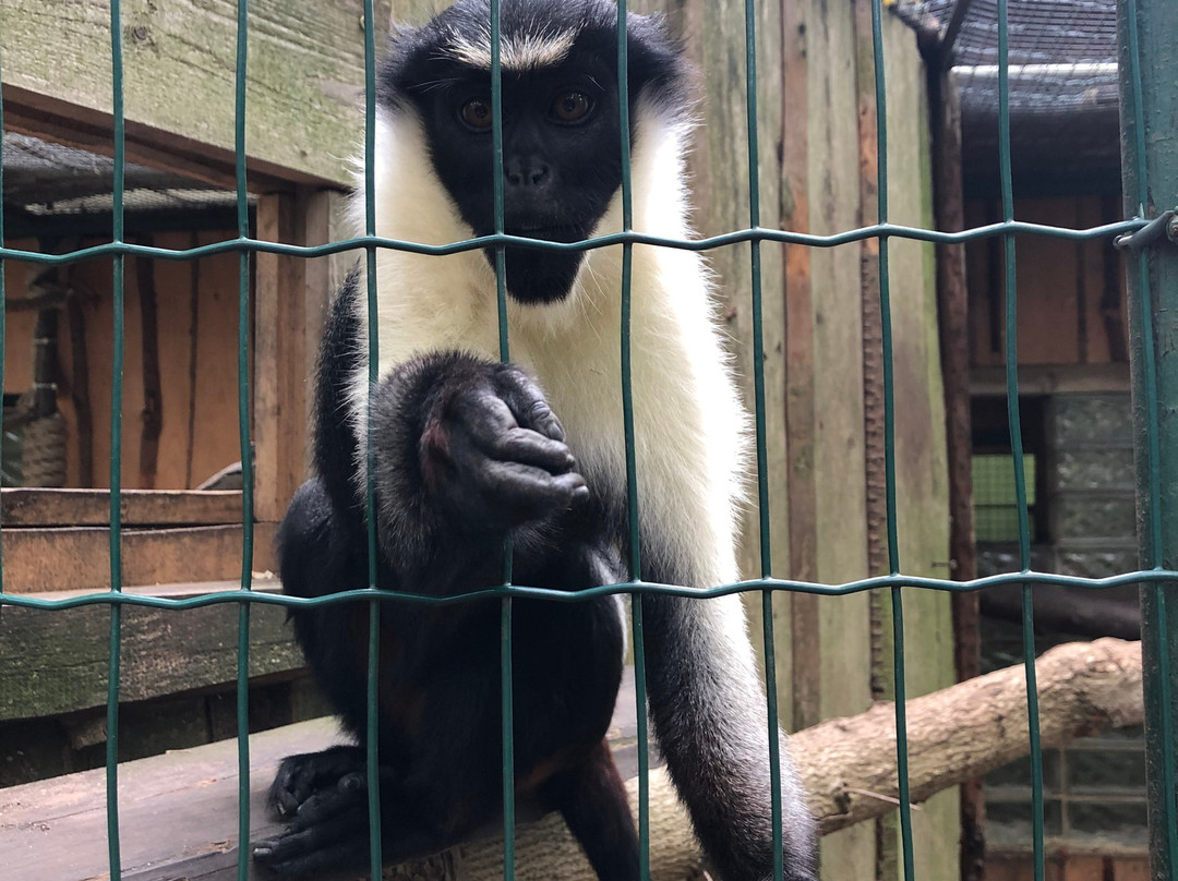 Zoo Aschersleben景点图片