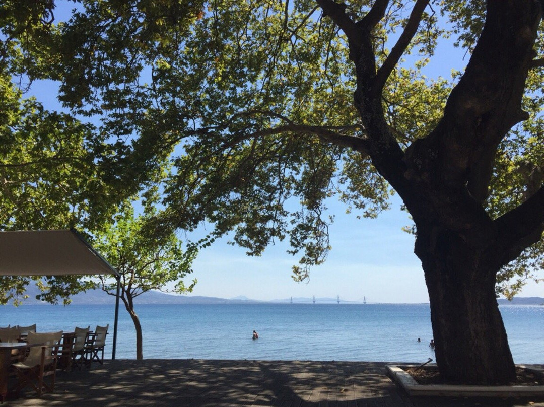 Hotel Aphrodite主图