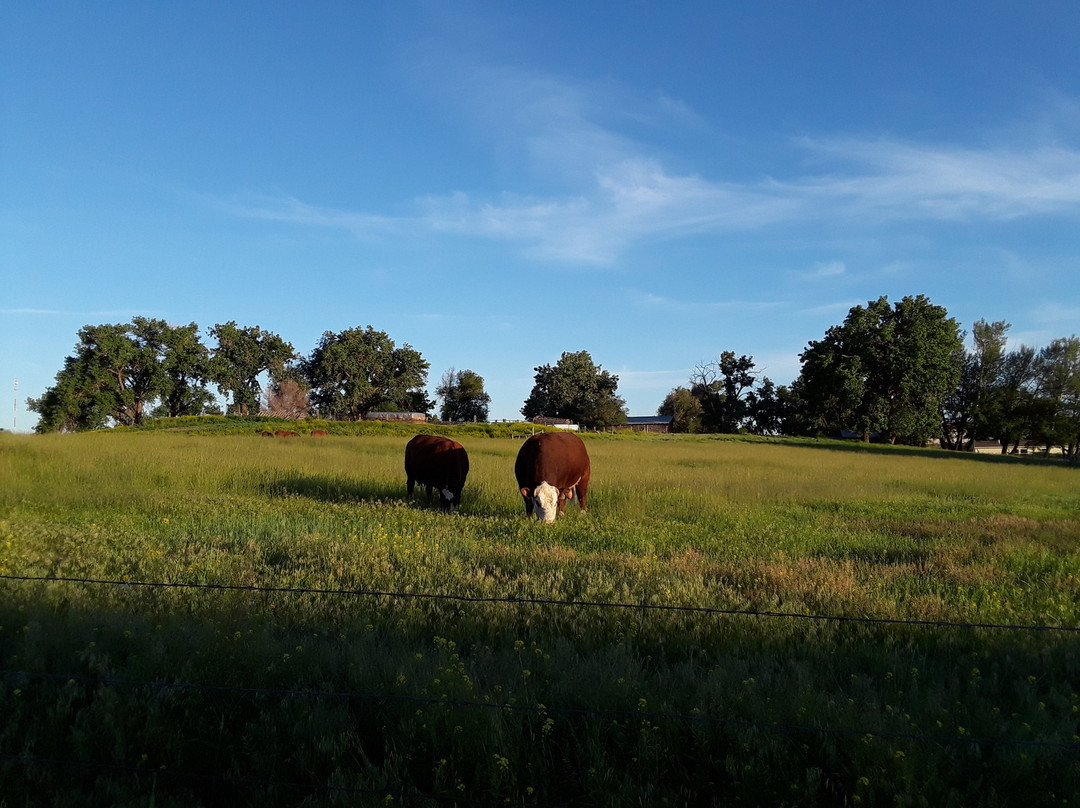 FairBridge Inn & Suites Miles City主图