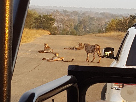 Ama-Zing African Safaris-玛洛斯帕克必去景点