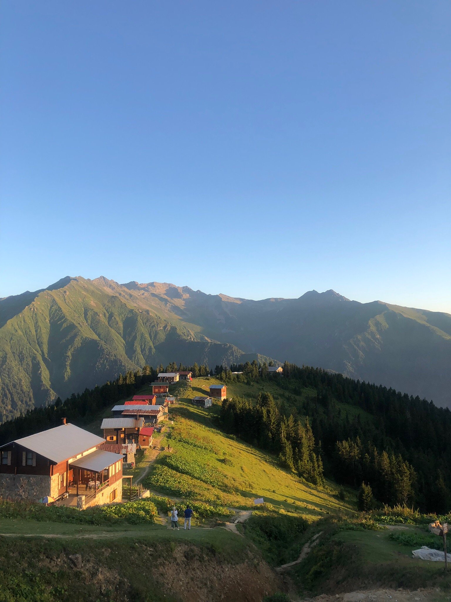 Plato'da Mola-官方