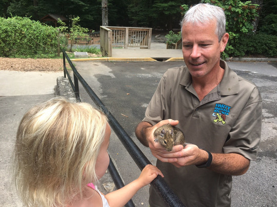 Dunwoody Nature Center-Dunwoody必去景点