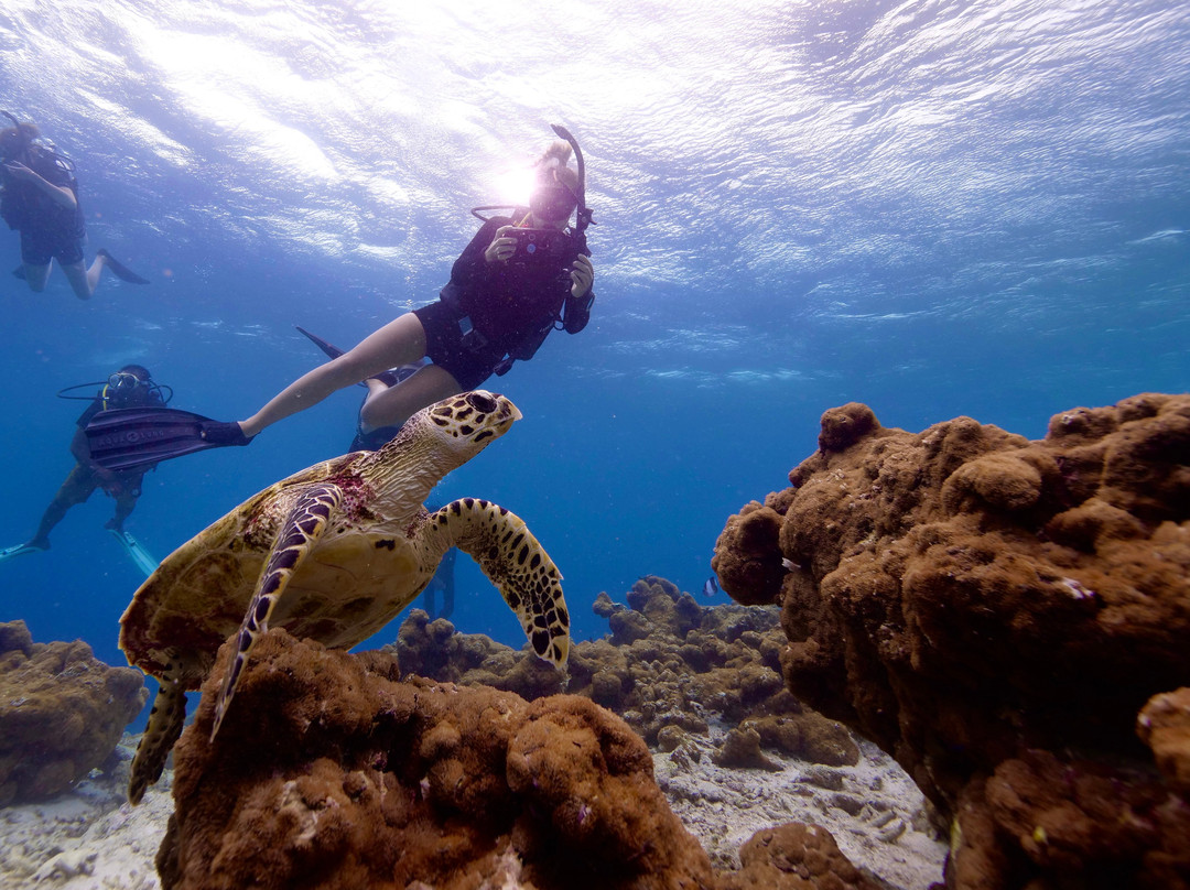 Scuba Divine Maldives