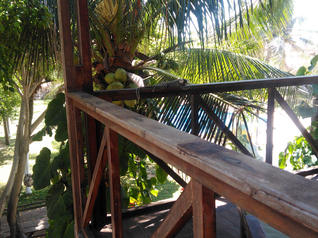 Canoa Beach Pousada主图