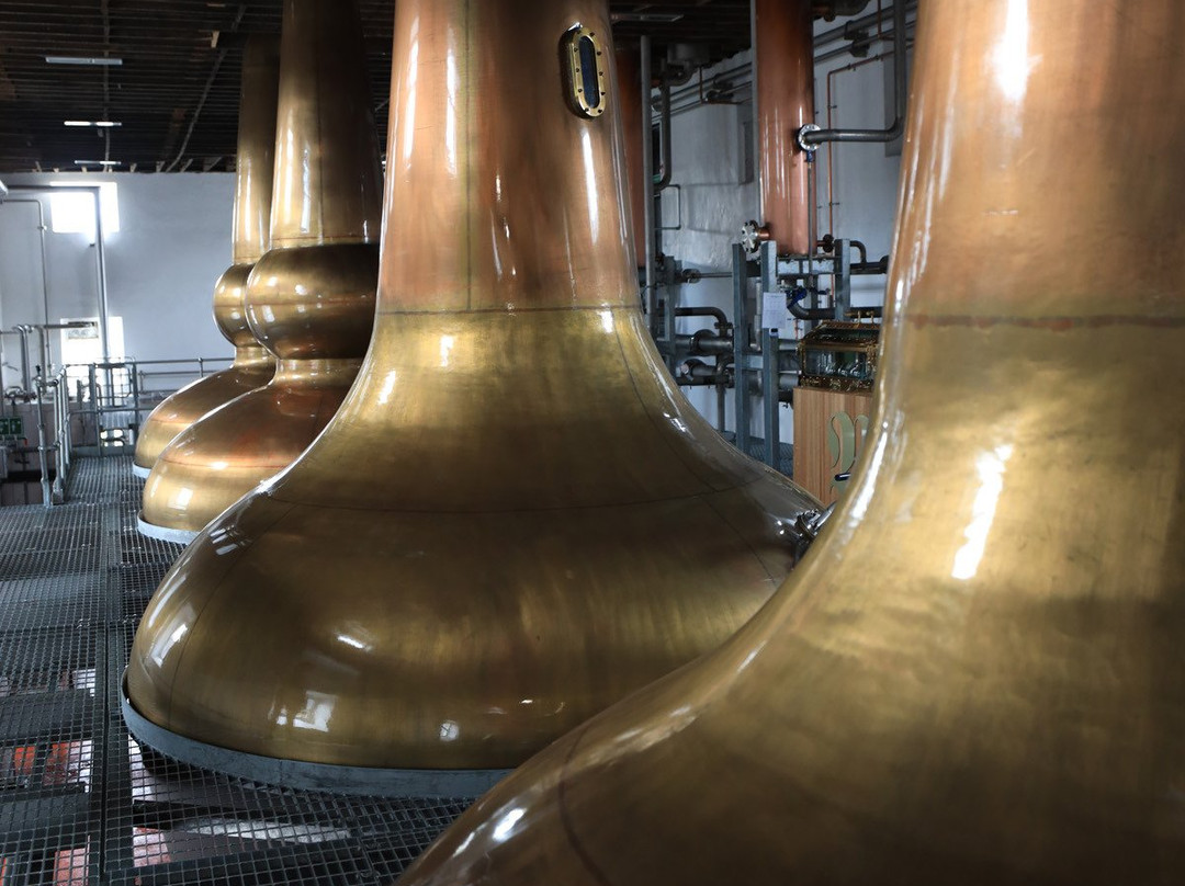 Bladnoch Distillery景点图片