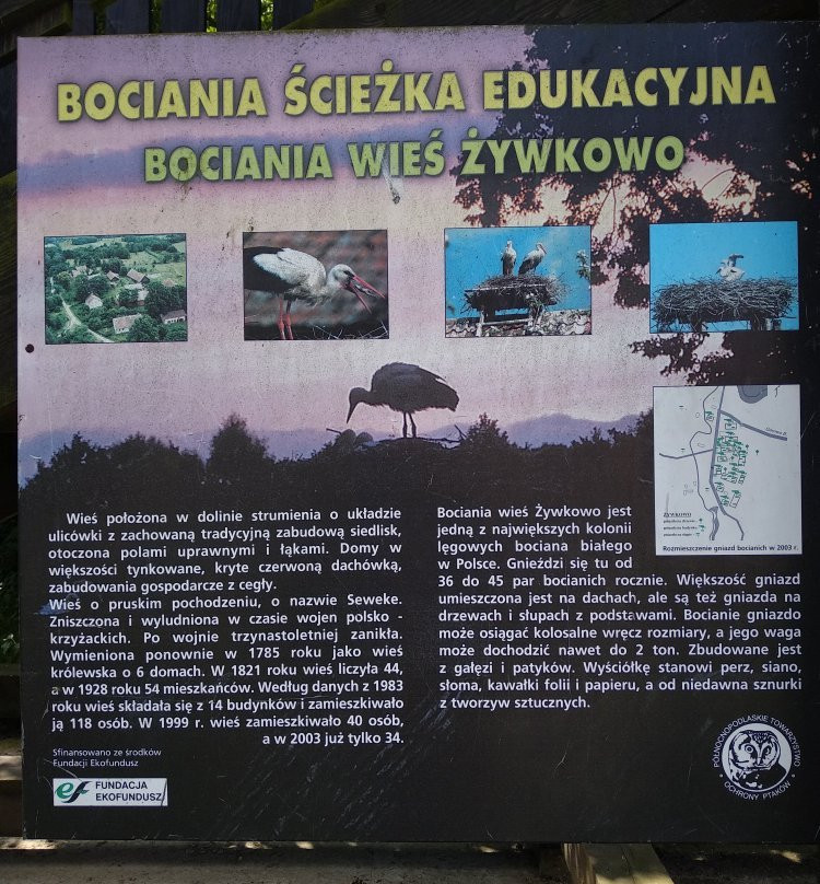 Żywkowo Bocianie Gospodarstwo Rolne PTOP-Zywkowo必去景点