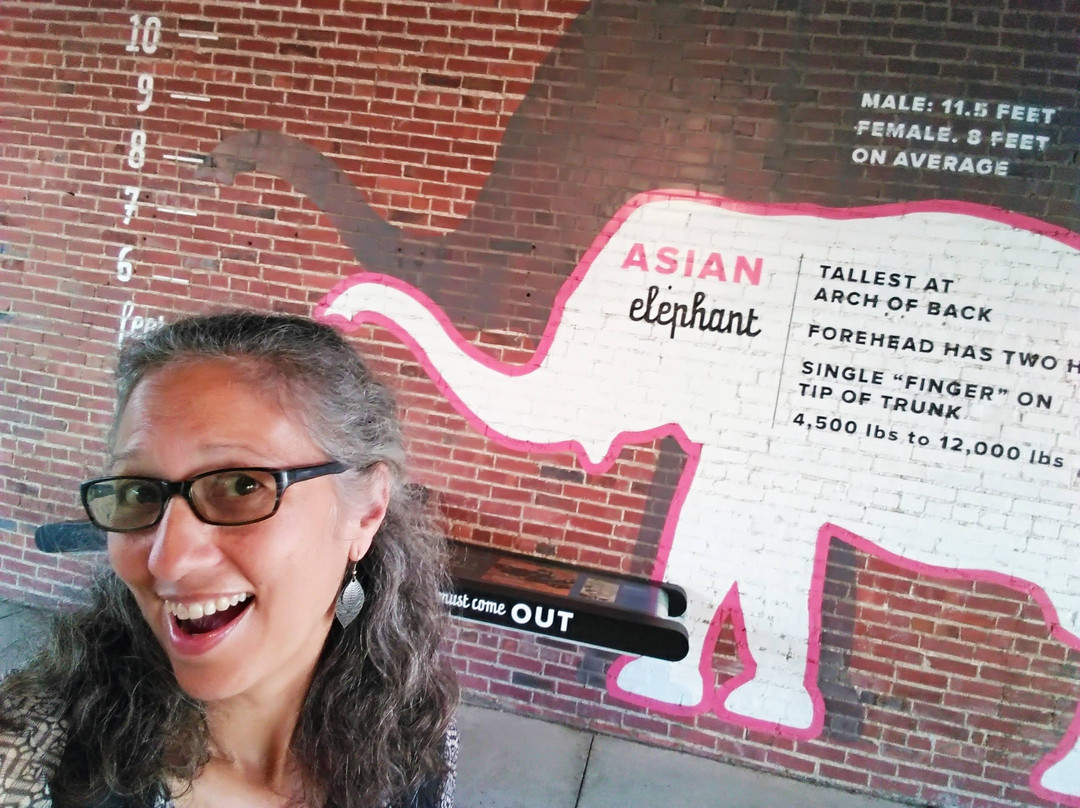 The Elephant Discovery Center-Hohenwald必去景点