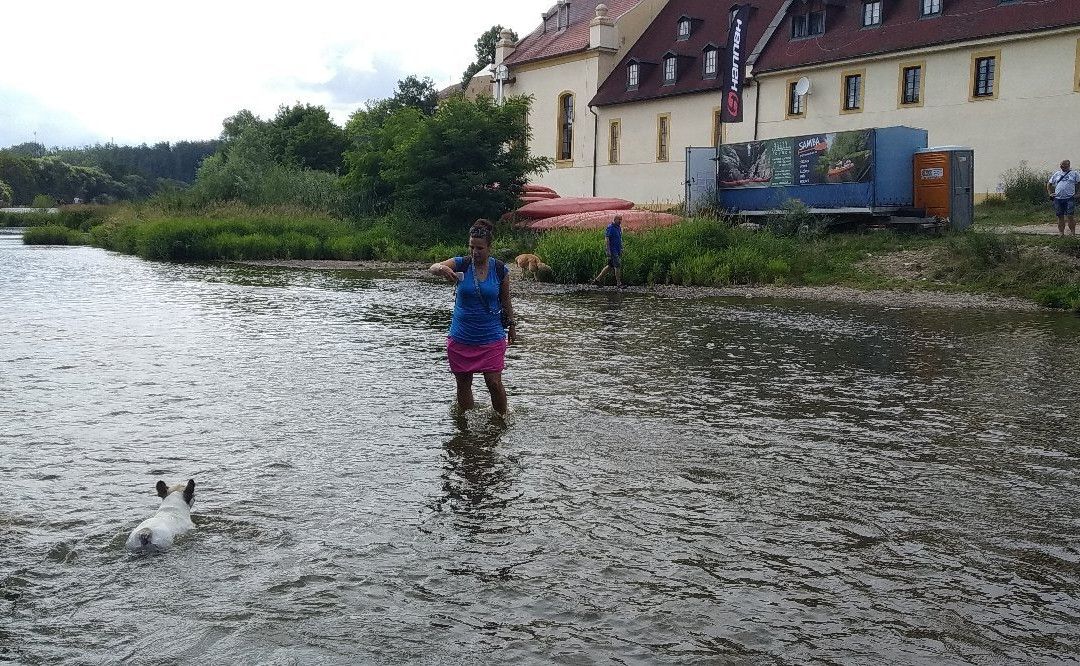 Taboriste U kouzelníka
