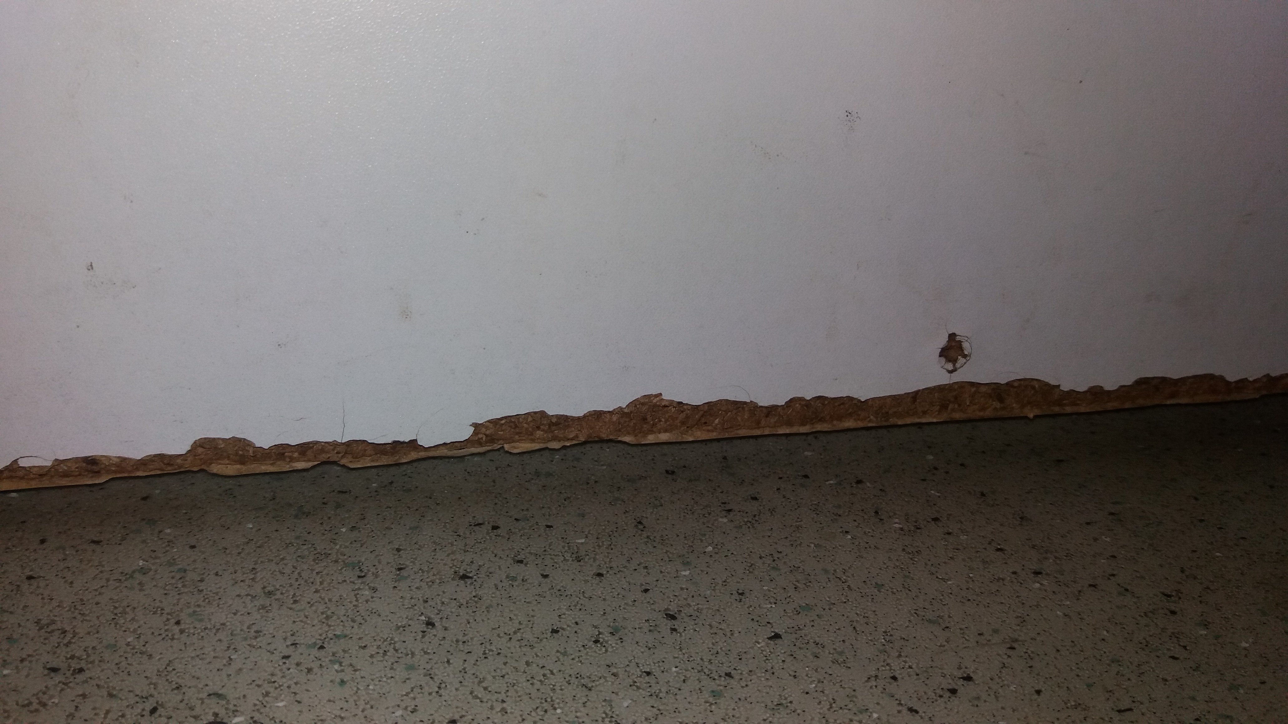 宜必思快捷洛里昂科当酒店-浴室