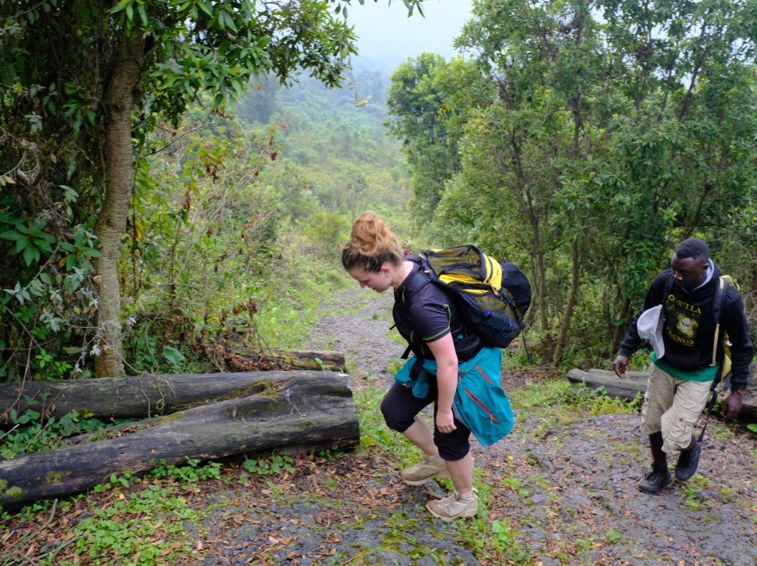 Kasitu Eco Tours-Goma必去景点