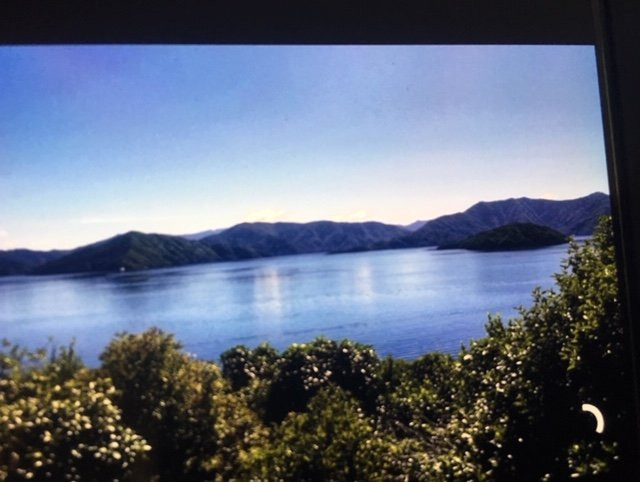 Karaka Point Walk景点图片