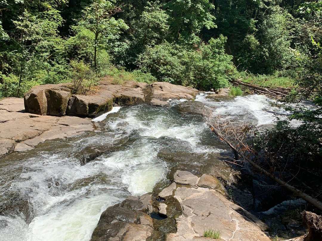 Lacamas Park Trail-Camas必去景点