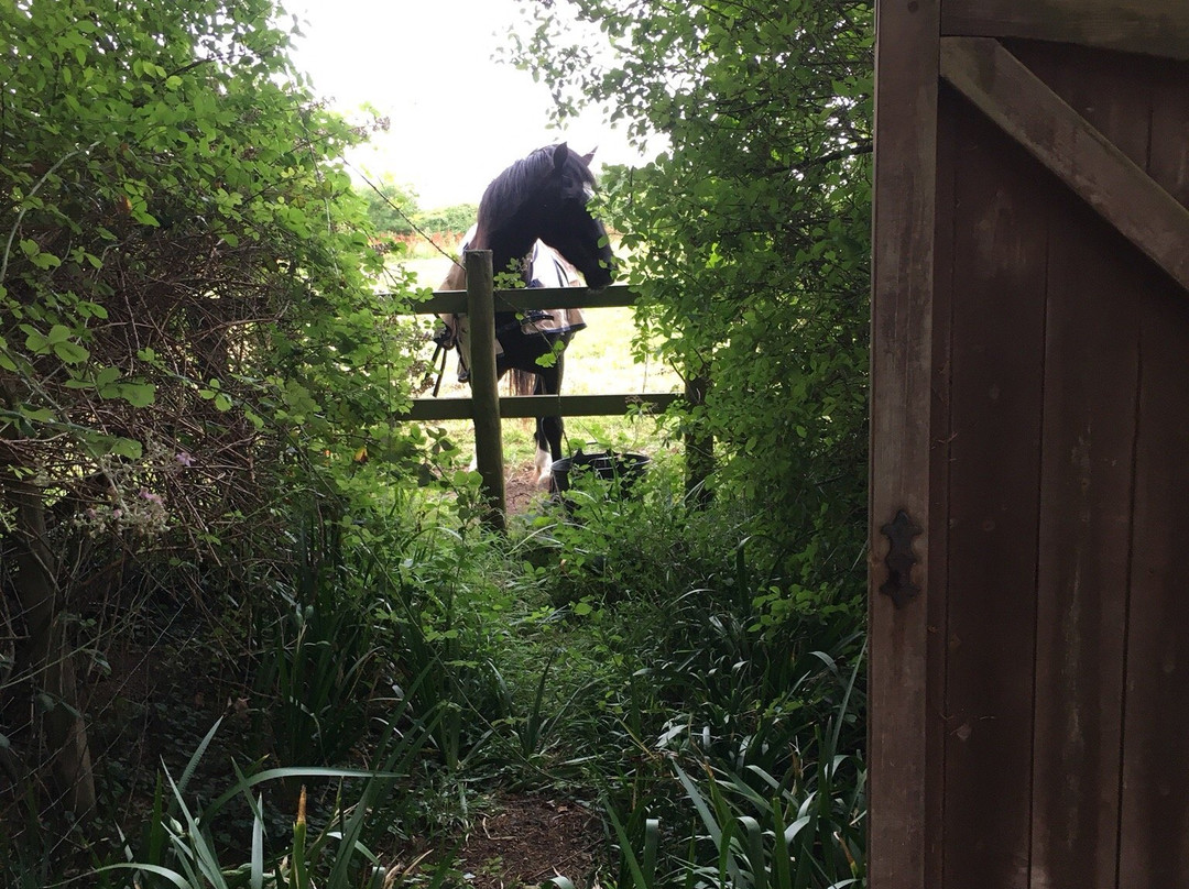 Cherry Orchard House主图