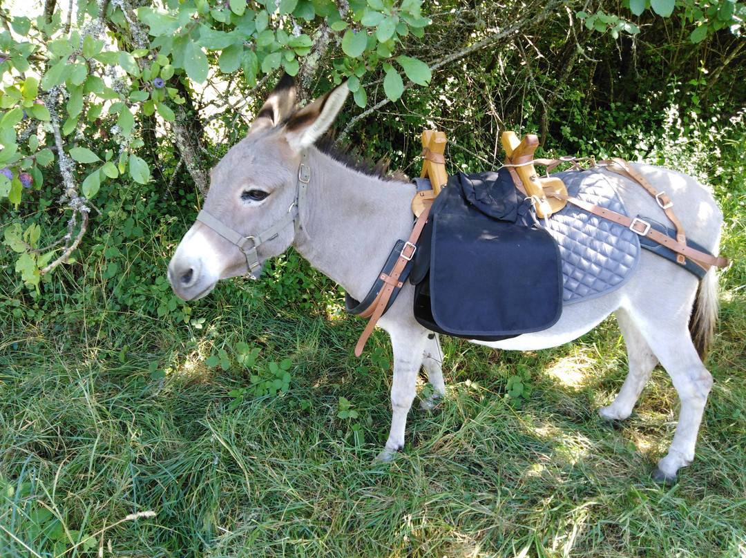 Au pas de l'âne-Les Eyzies-de-Tayac-Sireuil必去景点