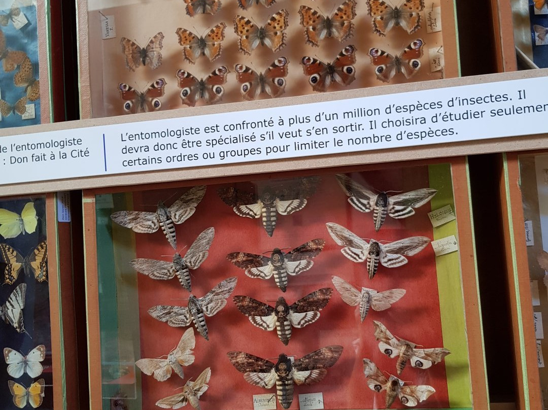 La Cite des Insectes景点图片
