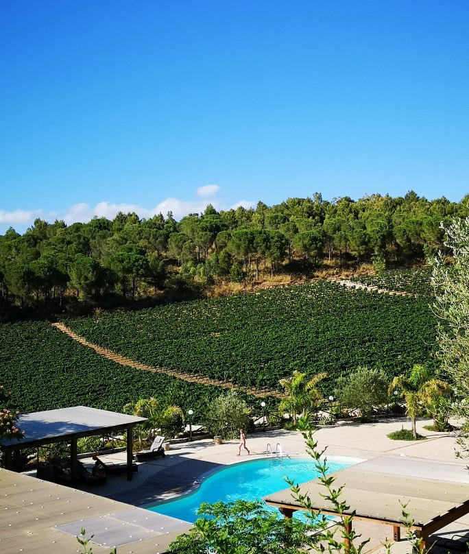 Agriturismo Tenute Pispisa Segesta主图